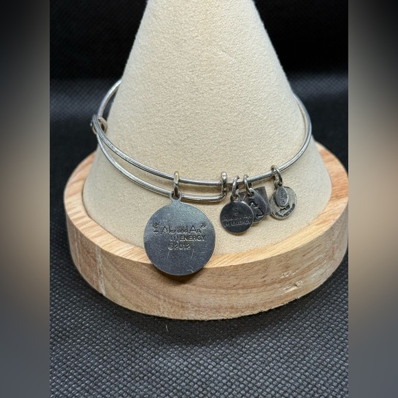 🎼ALEX AND ANI🎼Live Music Charm Bangle in Rafealian Silver/EUC - Picture 6 of 6